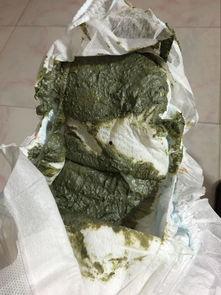 吃绿色瓜拉绿色大便,绿色大便见证成效——揭秘绿色饮食的神奇效果”