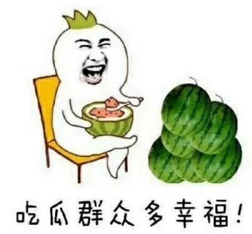 如何快乐吃瓜