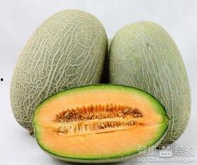 花海吃哈密瓜,哈密瓜甜蜜绽放